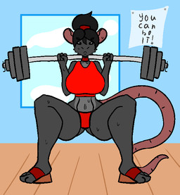 anthro black_body black_fur black_hair clothing female fur hair red_clothing solo squats weights wizrat mammal murid murine rat rodent