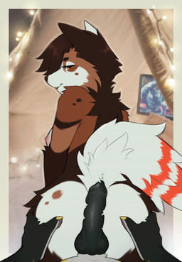 animal_genitalia animal_penis anthro bed_sheet bedding black_penis bouncing bouncing_breasts breasts brown_body brown_eyes brown_fur brown_hair butt canine_genitalia canine_penis cheek_tuft duo facial_tuft female first_person_view fluffy fur genitals grinding hair hand_on_butt hot_dogging knot knotted_penis looking_at_viewer looking_back male male/female male_pov neck_tuft nipples nude penis penis_on_butt pink_nipples romantic romantic_couple rubbing sex smile smiling_at_viewer smirk smirking_at_viewer spots tuft white_body white_fur mantucat blep_(husky) canid canine canis domestic_dog husky mammal nordic_sled_dog spitz animated hi_res