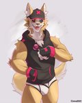 anthro black_clothing black_hoodie black_topwear briefs bulge clothing drawyourfursona hoodie hoodie/briefs_meme male simple_background solo standing topwear underwear white_clothing white_underwear cinnahipster meme_clothing canid canine canis domestic_dog mammal hi_res meme