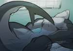 2024 anthro barazoku bathing bathtub big_muscles biped black_body black_fur bodily_fluids dripping_wet drooling fur furred_shark hi_res male marimoyasya muscular muscular_anthro muscular_male nude_anthro nude_male saliva sleeping solo wet wet_body white_body white_fur