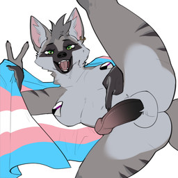 anthro balls black_nose breasts demisexual_pride_colors ear_piercing ear_ring facial_markings flag flag_(object) fur genitals gesture gold_(metal) gold_ear_piercing gold_ear_ring green_eyes grey_body grey_fur grey_inner_ear_fluff gynomorph hand_gesture head_markings heart_pasties holding_flag holding_object humanoid_genitalia humanoid_hands humanoid_penis inner_ear_fluff intersex lgbt_pride looking_at_viewer markings mask_(marking) nude_anthro nude_gynomorph open_mouth pasties penis piercing pink_inner_ear pointing pointing_at_penis pointing_at_self pride_colors raised_leg ring_piercing simple_background smile smiling_at_viewer solo tail transgender_pride_colors tuft v_sign white_background ayannzer lgbt_pride_month ivy_(riddiculous) aardwolf hyena mammal 1:1 2026 english_description hi_res trans_(lore) trans_woman_(lore)