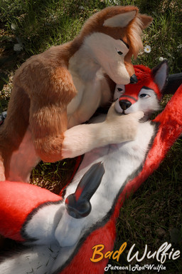 5_fingers animal_genitalia animal_penis anthro balls biped black_claws black_nose blue_eyes brown_body brown_fur canine_genitalia canine_penis claws cuddling digitigrade duo evening fingers fluffy fur genitals gloves_(marking) grass hair knot knot_root male male/male male_anthro markings nude pawpads paws penile penis plant public realistic red_body red_fur romantic romantic_couple sheath sky sun tail tree whiskers white_body white_fur white_whiskers red_wulfie blender_cycles mutt_(wagnermutt) red_(red_wulfie) canid canine canis domestic_dog mammal wolf 2:3 3d_(artwork) blender_(artwork) digital_media_(artwork) hi_res watermark