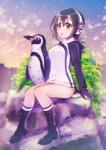 adolescent black_body black_hair brown_eyes clothed clothing countershading duo electronics female feral hair headphones highlights_(coloring) male orange_eyes outside pink_highlights sunset white_body white_countershading young ねめ kemono_friends grape-kun hululu animal_humanoid avian avian_humanoid bird bird_humanoid humanoid humboldt_penguin penguin penguin_humanoid hi_res