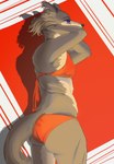 anthro beastars big_butt breasts butt canid canine canis clothing eyelashes female fur grey_background grey_body grey_fur hi_res juno_(beastars) mammal orange_clothing orange_swimwear pattern_background purple_eyes pyrocon73 rear_view red_background simple_background small_breasts solo swimwear tan_body tan_fur thick_thighs two-piece_swimsuit wide_hips wolf