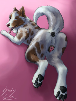 anatomically_correct anatomically_correct_genitalia anatomically_correct_vulva animal_genitalia animal_vulva anus butt canine_genitalia canine_vulva female feral genitals layed_down looking_at_viewer pawpads paws raised_tail solo tail tail_anus tongue tongue_out vulva stinkycoyote border_collie canid canine canis collie domestic_dog herding_dog mammal pastoral_dog sheepdog 3:4 absurd_res hi_res