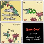 4_panel_comic ambiguous_gender biped death feathers feral flower gameplay_mechanics green_body green_feathers plant solo text timer white_body white_feathers falseknees apodiform avian bird hummingbird 1:1 2024 comic english_text hi_res watermark