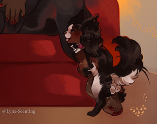 balls bestiality big_balls bodily_fluids clothing colored_nails cum dark_body dark_skin duo feet female female_human female_on_feral feral fingering_through_clothing foothumping genital_fluids genitals human_on_feral interspecies interspecies_romance leg_humping legwear male male/female male_feral mutual_masturbation nails overweight overweight_female overweight_human rubbing_vulva tail tights lynx_scenting coconut_(cokotheschnoot) lise_(cokotheschnoot) canid canine canis chihuahua domestic_dog human mammal mixed_breed papillon toy_dog hi_res