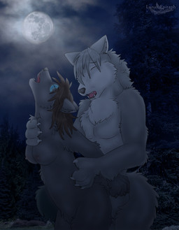 anthro anthro_on_anthro breasts dark detailed_background duo ear_piercing eyes_closed female from_behind_position full_moon male male/female moon night nipples nude outside photo_background piercing sex sky tail lunar_epitaph blaze-lupine_(character) blaze_(wolf) eclipse_silverwolf canid canine canis mammal wolf 2010 hi_res photography_(artwork)