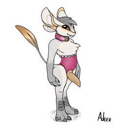 4_ears 4_toes anthro biped brown_eyes chest_tuft claws clothed clothing collar crossdressing dewclaw erection feather_tuft feathers feet femboy finger_claws frilly frilly_clothing genitals grey_body grey_claws grey_feathers looking_at_viewer male multi_ear penis pink_clothing pink_collar scuted_feet scutes smile solo standing tail tail_tuft tan_penis tapering_penis thin_tail toes topless tuft adeer avali 1:1 2023 full-length_portrait hi_res portrait