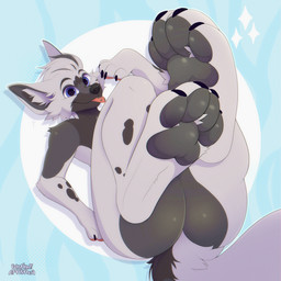 anthro ass_up black_body black_claws black_fur black_pawpads blue_eyes butt butt_focus claws feet foot_fetish foot_focus funtimeartistic fur grey_body grey_fur hindpaw lying male nude on_back pawpads paws presenting presenting_hindquarters solo tail tongue tongue_out white_body white_fur mats_(glasnir) canid canine canis domestic_dog mammal hi_res