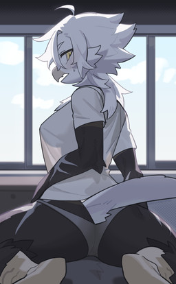 anthro beak biped black_body blush breasts butt clothed clothed_anthro clothed_female clothing cloud day female hair inside looking_at_viewer looking_back looking_back_at_viewer panties pantsless pantsless_anthro pantsless_female partially_clothed partially_clothed_anthro partially_clothed_female rear_view shirt sky solo t-shirt tail topwear underwear white_hair white_tail window yellow_eyes kaltespur avian bird 2025 absurd_res digital_drawing_(artwork) digital_media_(artwork) hi_res