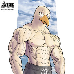 abs anthro beak big_muscles clothed clothing looking_at_viewer male muscular muscular_anthro muscular_male nipples pecs solo text topless topless_male white_body yellow_eyes pirin-apex beastars aoba_(beastars) accipitrid accipitriform avian bird eagle sea_eagle 1:1 half-length_portrait hi_res portrait url