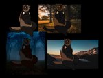 anthro black_body black_fur black_sclera brown_body brown_fur featureless_chest female flat_chested forest forest_background fur mountain nature nature_background one_eye_closed photo_background plant scar semi-anthro sitting slightly_chubby solo thick_thighs tree scherzande gulonine mammal mustelid musteline wolverine 2022 hi_res photography_(artwork)