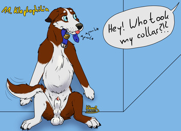 animal_genitalia animal_penis balls black_nose blue_eyes bodily_fluids breath brown_body brown_fur canine_genitalia canine_penis erection feral fur genital_fluids genitals kleptomaniac kleptophilia knot_in_sheath leaking_precum male offscreen_character panting penis penis_tip precum precum_on_penis sheath speech_bubble text tongue white_body white_fur kinaj kinktober kinktober_2024 arimel_(arimel) canid canine canis domestic_dog husky mammal nordic_sled_dog spitz 2024 english_text hi_res
