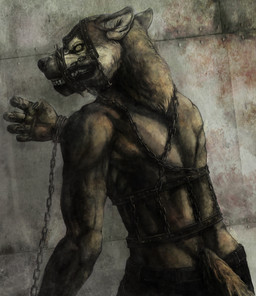 anthro biped black_bottomwear black_clothing black_pants bottomwear bound chain clothing male muzzle_(object) muzzled pants solo spikes standing submissive submissive_male tail sugitaku canid canine canis mammal wolf 2011