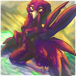 anthro big_breasts big_butt breasts butt female nipples non-mammal_breasts non-mammal_nipples outside shower solo water wide_hips adri_46999 avian widowbird 1:1