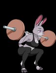 anthro barbell_squats bra breath clothing exercise exercise_clothing female leggings legwear non_nude panting solo sports_bra squats tail training training_weights underwear bashka disney zootopia judy_hopps lagomorph leporid mammal rabbit animated short_playtime tagme