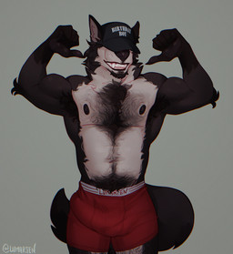 anthro armpit_hair belly biceps body_hair bottomwear bulge chest_hair chest_tuft clothed clothing covered_eyes detailed_bulge facial_hair fur genital_outline gesture hair_on_fur hand_gesture male muscular muscular_male nipples open_mouth pecs penis_outline pointing pointing_at_self pubes simple_background smile solo tail teeth text topless tuft underwear lumarten lucas_(lumarten) canid canine canis mammal wolf digital_media_(artwork) hi_res