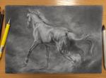 abstract_background ambiguous_gender butt feral fur hair pencil_(object) quadruped solo bra1neater equid equine horse mammal 2016 graphite_(artwork) greyscale monochrome sketch traditional_media_(artwork)