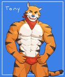 2021 abs anthro barazoku biped blue_background bulge cel_shading character_name clothing countershading digital_media_(artwork) felid frosted_flakes hi_res jrjresq kellogg's kerchief male mammal mascot muscular muscular_anthro muscular_male navel neckerchief nipples pantherine pecs pinup portrait pose shaded simple_background solo standing thong three-quarter_portrait tiger tony_the_tiger underwear