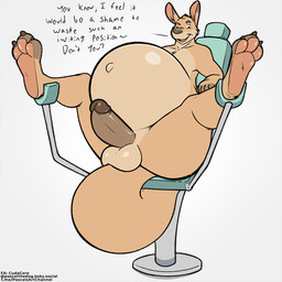 anthro balls belly big_belly big_tail erection feet genitals huge_belly hyper hyper_belly hyper_pregnancy male navel outie_navel paws penis pregnant pregnant_anthro pregnant_male spread_legs spreading tail text toes pascal_(artist) cudacore_(cudacore) kangaroo macropod mammal marsupial 1:1 english_text hi_res
