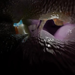 ambiguous_gender bodily_fluids duo feral first_person_view french_kissing inside_mouth internal kissing licking macro mouth_play mouth_shot on_tongue open_mouth oral saliva saliva_on_tongue saliva_string size_difference teeth throat tongue tongue_wrap vore silly_roll 1:1 3d_(artwork) 3d_animation animated digital_media_(artwork) short_playtime sound webm