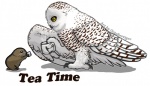 ambiguous_gender avian black_eyes brown_fur claws cup feathers feral fur lemming octobertiger owl plain_background rodent snowy_owl steam wings yellow_eyes
Rating: Safe
Score: 8
User: corgi_bread
Date: November 10, 2012