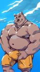 2018 anthro bear belly biceps big_bulge bulge clothed clothing cloud cute_fangs ear_piercing eyebrows jewelry male mammal musclegut muscular muscular_anthro muscular_male navel necklace nipples overweight overweight_anthro overweight_male pecs piercing portrait sky slightly_chubby smile solo swimwear taoren three-quarter_portrait topless underbite