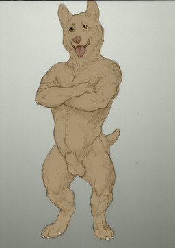 animal_genitalia anthro balls brown_eyes claws digitigrade front_view fully_sheathed genitals glistening glistening_eyes male muscular muscular_anthro muscular_male nude open_mouth open_smile sheath simple_background smile solo standing tail tan_balls tan_body tan_ears tan_sheath tan_tail unsigned white_claws laser_(artist) canid canine canis domestic_dog herding_dog mammal pastoral_dog welsh_corgi full-length_portrait portrait