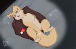2014 4_toes anatomically_correct angel_(lady_and_the_tramp) bed blush canine chihuahua disney dog fangs female feral fingering floor fur lady_and_the_tramp looking_at_viewer lube lying mammal masturbation metalfox mutt on_back open_mouth pillow pomeranian solo teeth tongue wall
Rating: Explicit
Score: 11
User: Lizardite
Date: February 25, 2014