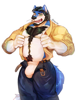 anthro body_hair bottomwear chest_hair clothing grumpy male muscular solo tight_bottomwear tight_clothing underwear nikittyiringiro canid canine canis mammal wolf absurd_res hi_res