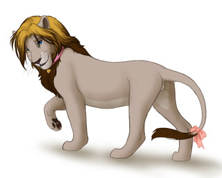 accessory backsack balls blonde_hair blue_eyes bow_(feature) bow_accessory bow_ribbon brown_hair clothing collar femboy feral feralized fur furgonomics genitals grey_body grey_fur hair heart_symbol looking_at_viewer male multicolored_hair nude pink_clothing pink_collar pink_ribbon ribbons simple_background smile solo tail tail_accessory tail_bow tail_ribbon two_tone_hair white_background yellow_sclera autumn_sunrise carl_theodore_grant_(grafton) felid lion mammal pantherine 2015 5:4