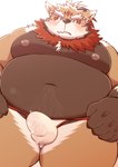 anthro belly big_belly blush brown_body bulge clothed clothing erection erection_under_clothing humanoid_hands kemono male moobs navel nipples overweight overweight_male solo underwear dosanco15 canid canine mammal 2022 hi_res