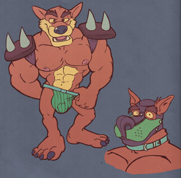 abs animal_mask anthro balls_outline biceps brown_eyes brown_hair bulge claws clothing collar detailed_bulge eyebrows fangs fur genital_outline hair jockstrap looking_at_viewer male manly mask muscular muscular_anthro muscular_arms muscular_male nipples open_mouth open_smile orange_body orange_fur pecs penis_outline pup_mask shoulder_pads smile solo spiked_shoulder_pads spikes tan_body tan_fur teeth thick_eyebrows triceps underwear yellow_sclera cobaltcerberus spectral-bat activision crash_bandicoot_(series) tiny_tiger dasyuromorph mammal marsupial recently_extinct_species thylacine 2020 hi_res
