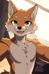 anthro ears_up fur happy inside looking_at_viewer male nude open_mouth selfie simple_background smile solo tail tongue tuft window window_curtains yourkobold dusty_(yourkobold) canid canine mammal 2:3 absurd_res digital_media_(artwork) hi_res