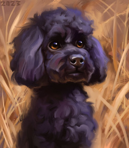 black_body black_fur black_nose brown_eyes curled_fur feral floppy_ears fur grass hay plant quadruped sitting solo alexpahomov canid canine canis domestic_dog mammal miniature_poodle poodle 2023 digital_media_(artwork) digital_painting_(artwork) hi_res painting_(artwork)