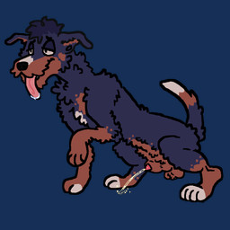 animal_genitalia blue_body blue_fur bodily_fluids breath crouching curly_hair drooling feral fur genital_fluids genitals hair male panting peeing peeing_on_ground red_body red_fur saliva solo urine urine_on_ground white_body white_fur shadyhouse roux_(shadyhouse) canid canine canis domestic_dog mammal mastiff molosser poodle rottweiler 1:1 animated hi_res loop