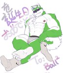 5_toes anthro barazoku bulge clothing eyewear feet foot_focus footwear fur green_body green_fur humanoid_feet male muscular muscular_male nipples one_sock plantigrade socks soles solo sunglasses toes underwear vein white_body white_fur oymshzhji0720xz nike hi_res