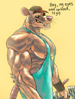 anthro clothing dialogue exercise hat headgear headwear male muscular muscular_male nipples pecs pink_nose shirt solo tank_top text topwear weightlifting whiskers workout simonsbathtub mammal murid murine rat rodent 2022 english_text hi_res