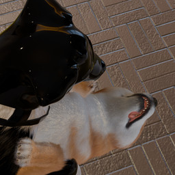 angry angry_sex asphyxiation black_body black_fur blind breath clothing deaf disability duo eyes_closed faceless_character faceless_male female feral feral_on_feral feral_penetrated feral_penetrating feral_penetrating_feral floor floppy_ears fluffy footwear fur futuristic_clothing futuristic_setting genitals glistening glistening_latex growling harness knot knotted_penis latex latex_clothing latex_footwear latex_harness latex_hood latex_socks lying lying_on_ground male male/female multicolored_body multicolored_fur on_back on_ground panting penetration penis pointy_ears questionable_consent realistic_feral roof_of_the_mouth science_fiction sensory_deprivation sex socks stretched_pussy teeth_showing tile tile_floor tongue tongue_out unable_to_speak vaginal vaginal_penetration white_body white_fur yellow_body yellow_fur anonyartist3d barkley_(canine_conundrum) border_collie canid canine canis collie domestic_dog herding_dog mammal pastoral_dog sheepdog shiba_inu spitz 3d_(artwork) digital_media_(artwork) hi_res