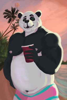 alcohol anthro beach beverage clothing drunk evening male nipples outside overweight overweight_male palm_tree party plant seaside slightly_chubby smile solo substance_intoxication summer sunset swimming_trunks swimwear tree zwodder bear giant_panda mammal 2:3 colored