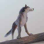 ambiguous_gender dewclaw digitigrade feral fur log purple_eyes realistic simple_background solo tail wood vonfluffington skjol_(vonfluffington) canid canine canis mammal wolf 1:1 2021 3d_(artwork) digital_media_(artwork) hi_res