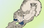 animal_genitalia anklet anthro big_tail bottomwear clothing fully_sheathed genitals huge_tail jewelry loincloth male sheath solo tail no_swift opalance felid feline mammal pantherine snow_leopard