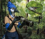 ambiguous_gender anthro bag bird_watching blurred_background branch camera claws duo female feral forest plant purse stick tree techiesxc avian bird blue_jay corvid jay_(bird) new_world_jay oscine passerine digital_media_(artwork) hi_res painting_(artwork)