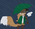 anthro blue_background bottomless brown_body brown_eyes brown_fur catchphrase clothed clothing dipstick_tail ears_down featureless_crotch female female_anthro fur gloves_(marking) green_clothing green_jacket green_topwear green_umbrella grey_background hair jacket jacket_only leg_markings markings pivoted_ears raining simple_background soaking socks_(marking) solo speech_bubble tail tail_markings topwear topwear_only umbrella wet white_body white_fur worried worried_look conditional_dnp fiddleafox averi_(fiddleafox) canid canine fox mammal red_fox true_fox grandfathered_content