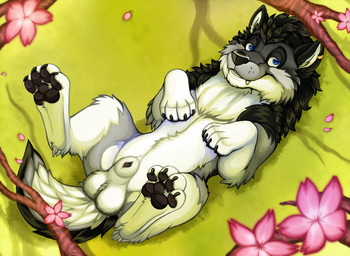 4_toes animal_genitalia balls black_pawpads claws digitigrade feet feral fully_sheathed genitals hindpaw male male_feral pawpads paws quadruped sheath snagletooth solo teasing_look toe_claws toes ruster awkore canid canine canis mammal wolf absurd_res hi_res