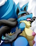 anthro areola big_breasts breasts butt dakimakura erect_nipples female nipples pink_areola pink_nipples side_boob solo text tongue tongue_out wolf_ears mitgard-knight nintendo pokemon canid generation_4_pokemon lucario mammal pokemon_(species) 4:5 cropped dakimakura_design url