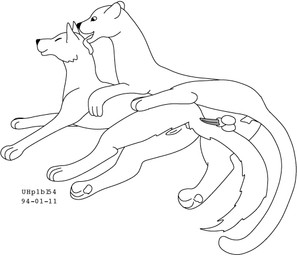 animal_genitalia anus balls duo erection female feral fur genitals licking licking_another male male/female nude penis sheath simple_background tongue tongue_out vulva white_background urbanhermit canid canine canis cougar felid feline mammal wolf 1994 dated monochrome