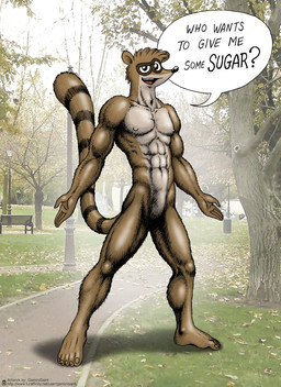 5_fingers 5_toes anthro brown_body brown_eyes brown_fur featureless_crotch feet fingers front_view fur looking_at_viewer male male_anthro muscular muscular_anthro muscular_male nude open_mouth outside photo_background solo speech_bubble standing text toes geminisaint cartoon_network regular_show don_(regular_show) mammal procyonid raccoon 2015 english_text hi_res photography_(artwork)