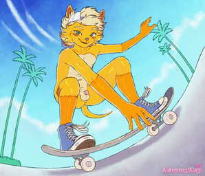 5_fingers anthro backwards_baseball_cap backwards_hat balls baseball_cap circumcised clothing eyebrows fingers genitals glans gloves_(marking) hair hat headgear headwear leg_markings male markings mostly_nude penis skateboard skateboarding small_penis socks_(marking) solo tail vehicle young young_anthro young_male kammykay tyberius_(sk8erboity) dasyuromorph mammal marsupial recently_extinct_species thylacine hi_res